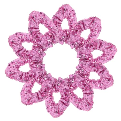 Healvian 10 Stück Teiliges Glänzende Pailletten Haargummis für Damen und Mädchen Elastische Funkelnde Haarbänder mit Schimmerndem Design Vielseitig für Hochzeiten Partys und Festliche von Healvian