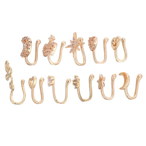 Healvian 11 Stück Teiliges Non Pierced Nose Jewelry Nasenclip Kupfer mit Glänzend Besetzt Schmerzfreie Fake Nose Rings für Frauen und Männer Leichter Vielseitiger Schmuck für Alltag und von Healvian