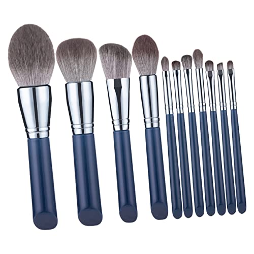 Healvian 11 Stück Teiliges Professionelles Make Up Pinselset für Anfänger Ultraweiche Schminkpinsel für Gesichtspuder und Lidschatten für Tägliche Anwendungen Tragbar und Komfortabel von Healvian