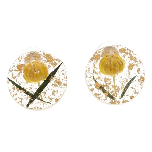 Healvian 1Paar Kreative Getrocknete Ohrringe für Frauen Vintage mit Sphärischem Design für Besondere Anlässe oder Modisches Healvian 1Paar Kreative Getrocknete Ohrringe für Frauen Vintage mit Sphärischem Design für Besondere Anlässe oder Modisches von Healvian
