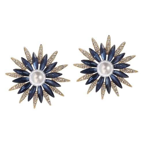 Healvian 2 Stück Brosche Pin für Frauen Männer Modeaccessoires für Jacken Schals Besondere Anlässe für Hochzeiten Partys Tägliches von Healvian