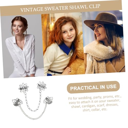 Healvian 2 Stück Herren Kragenclip aus Zinklegierung Vintage Anstecknadel für Hemd Cardigan und Anzug Modische Brosche als Dekoratives Accessoire für Männer von Healvian