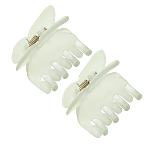 Healvian 2 Stück Mattierte Haarspangen für Damen Dekorative Haarschmuck für Partys und Alltag für von Healvian