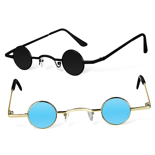 Healvian 2 Stück Teiliges Retro Sonnenbrillen mit Rundem Metallrahmen Polarisiert Kleine Runde Gläser Hip Hop Stil Leichte Langlebige Unisex Sonnenbrille für Damen und Herren von Healvian