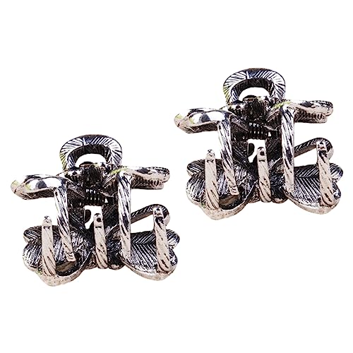 Healvian 2 Haarspangen Für Damen Modische Haarklammern Mit Exquisitem Aussehen Für Verschiedene Outfits von Healvian
