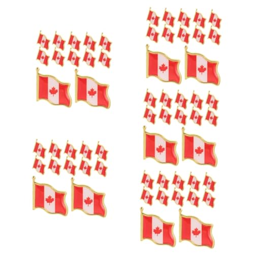Healvian 5 Sätze Flaggen Broschen Anstecker Metall Abzeichen Für Kleidung Für Reisen Und Formelle Anlässe Einfach Zu Verwenden Und Dekorativ 25 Stück * 5 von Healvian