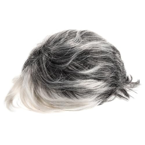 Healvian Cosplay Perücke Damen Kurz Lockig Grauweißer Farbverlauf Synthetische Old Lady Perücke Für Kostümkarneval Halloween Themenparty von Healvian