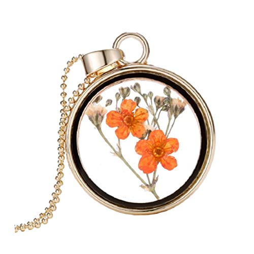 Healvian Getrocknete Blumen Halskette Frau kreative Halskette Frauen Halskette Frau Blumenkette Halskette Schmuck Schlüsselbeinkette Orange Healvian Getrocknete Blumen Halskette Frau kreative Halskette Frauen Halskette Frau Blumenkette Halskette Schmuck Schlüsselbeinkette Orange von Healvian