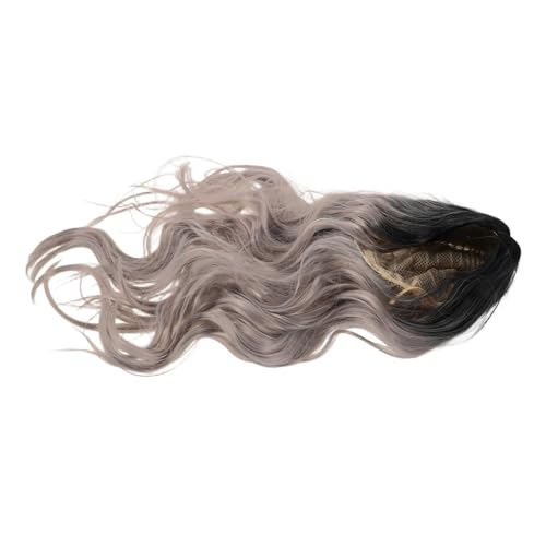 Healvian Graue Lange Gewellte Perücke für Damen Hitzebeständiges Synthetisches Haar Farbverlauf Lockig Natürlicher Look Wiederverwendbar Pflegeleicht für Alltag Party Cosplay und Kostüm von Healvian