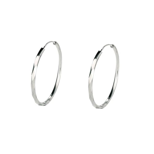 Healvian Große Runde Ohrringe Damen Silberfarbene Kreolen Allergikerfreundlich Kreative Ohrschmuck für Alltag und Party von Healvian