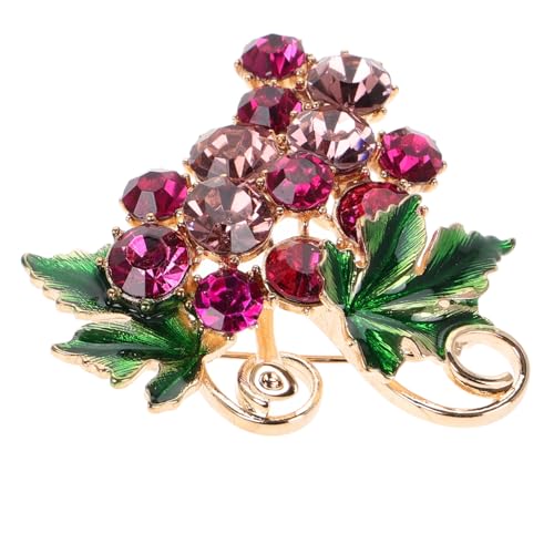 Healvian Trauben Brosche Strass Anstecknadel für Damen Süßer Obst Schmuck für Pullover Schal Mütze Rucksack Langlebiges Material Glanzendes Design Anpassbare Verwendung Healvian Trauben Brosche Strass Anstecknadel für Damen Süßer Obst Schmuck für Pullover Schal Mütze Rucksack Langlebiges Material Glanzendes Design Anpassbare Verwendung von Healvian