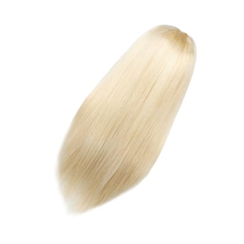 Healvian Lange Hitzebeständige Perücke Damen und Mädchen Synthetisches Haar mit Natürlichem Look Glattes Front Lace Cosplay und Halloween Langhaar Perücke von Healvian