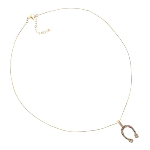 Healvian Modische Pferdehufe Halskette Damen Herren Anhänger mit Goldfarbenem Zirkonia Schmuck für Geburtstag Valentinstag Muttertag Party Zubehör von Healvian