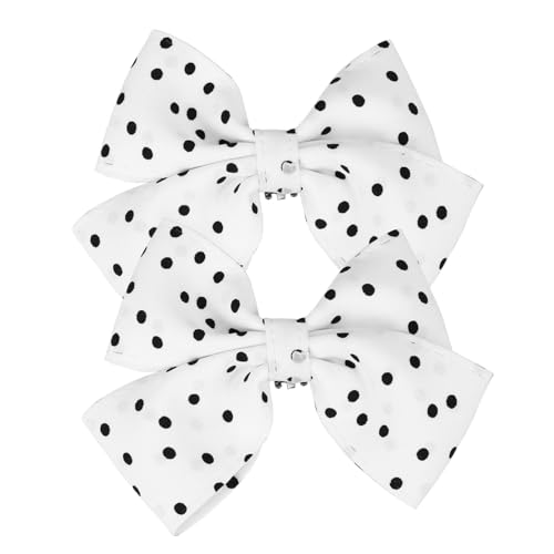 Healvian Schuhclips für Frauen Abnehmbare Schleifen Schnalle Vintage Design für Hochzeits und Abendkleider Eleganter Schuhschmuck für Pumps und Freizeit Schuhe Sicherem Material Gefertigt von Healvian