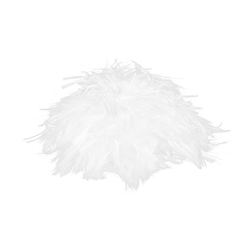 Healvian Weiße Curly Perücke Kurz Lockig Langlebig Natürlich Wirkend Verrückter Wissenschaftler Kostümperücke für Erwachsene und Jugendliche für Karneval Mottoparty und Cosplay von Healvian