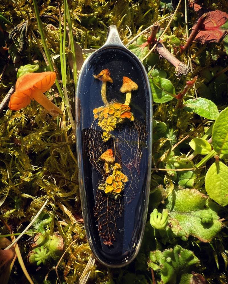 Anhänger Mit Getrockneten Pilzen Und Flechten Anhänger Mit Getrockneten Pilzen Und Flechten von HeartEatsBrain