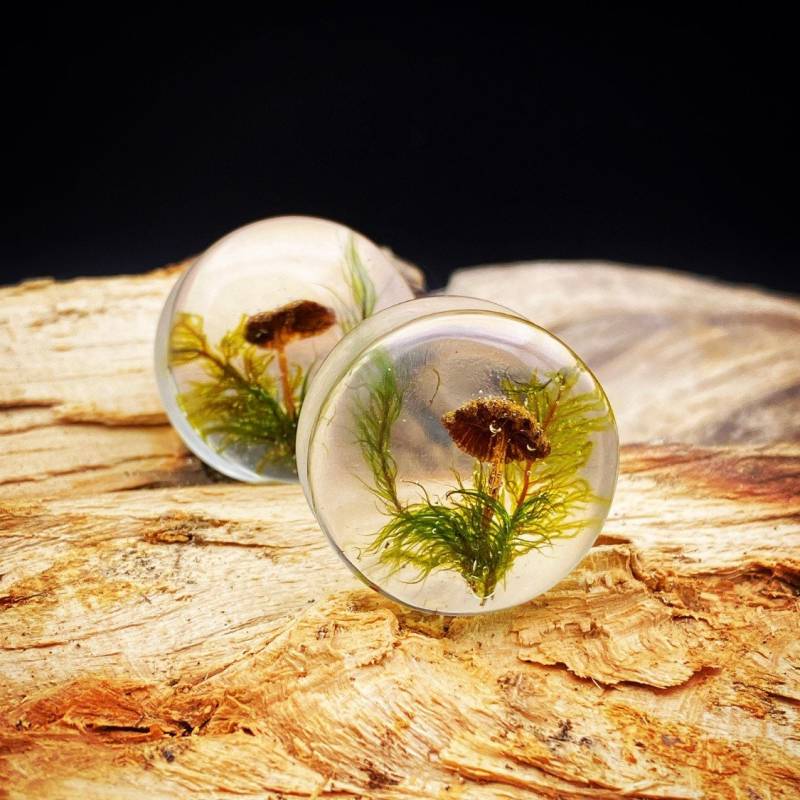 Ohrplugs Mit Pilzen Ohrplugs Mit Pilzen von HeartEatsBrain