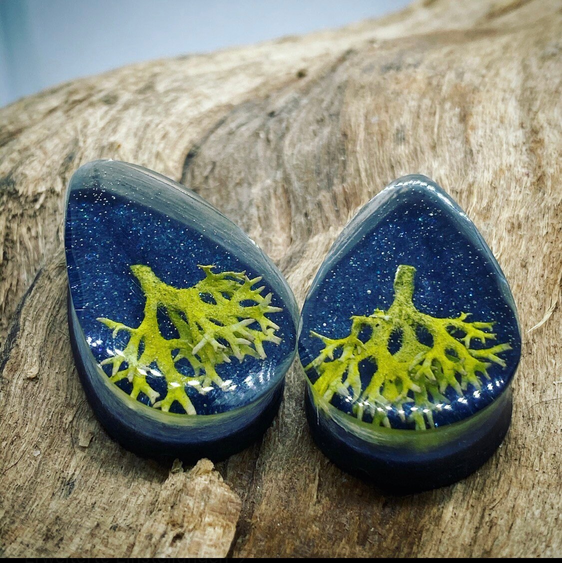 Teardrop Ohrplugs Mit Baumflechten Teardrop Ohrplugs Mit Baumflechten von HeartEatsBrain