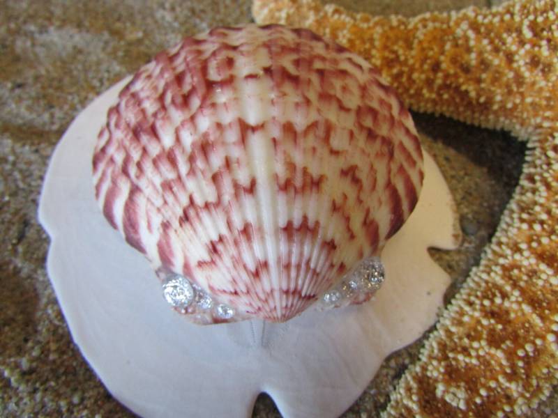 Medium Seekappel Mit Juwelen Haar Barrette-Meerjungfrauenhaar, Hochzeits-Accessoires von HeavenlyMermaidHair