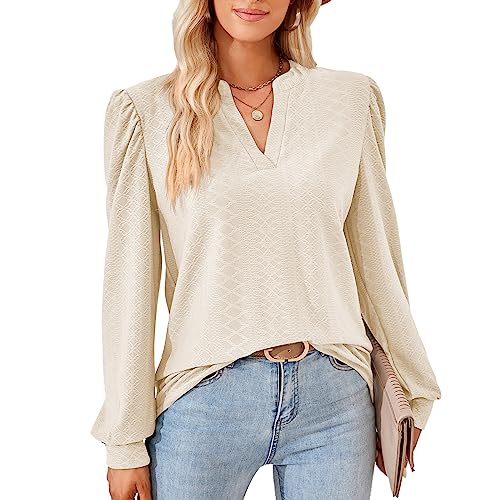 Damen Elegant Bluse Langarm T-Shirt Damen V-Ausschnitt Tops Tunika Einfarbig Herbst Blusen Casual Langarmshirt Oberteile Kleidung Frau S-XXL von Heersan