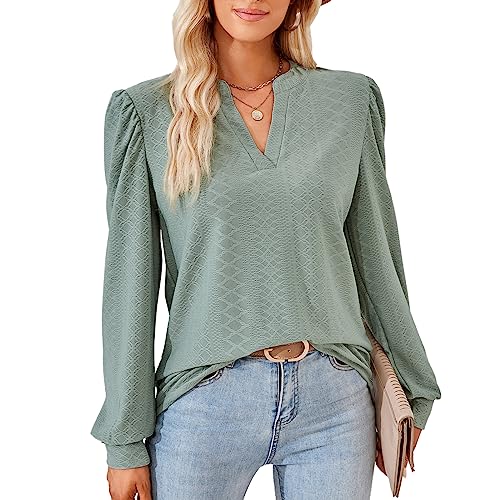 Damen Elegant Bluse Langarm T-Shirt Damen V-Ausschnitt Tops Tunika Einfarbig Herbst Blusen Casual Langarmshirt Oberteile Kleidung Frau S-XXL von Heersan