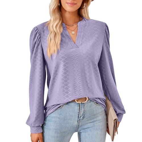 Damen Elegant Bluse Langarm T-Shirt Damen V-Ausschnitt Tops Tunika Einfarbig Herbst Blusen Casual Langarmshirt Oberteile Kleidung Frau S-XXL von Heersan