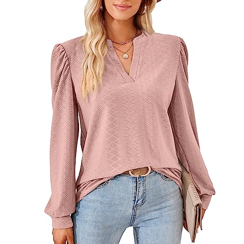 Damen Elegant Bluse Langarm T-Shirt Damen V-Ausschnitt Tops Tunika Einfarbig Herbst Blusen Casual Langarmshirt Oberteile Kleidung Frau S-XXL von Heersan