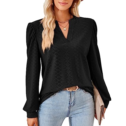 Damen Elegant Bluse Langarm T-Shirt Damen V-Ausschnitt Tops Tunika Einfarbig Herbst Blusen Casual Langarmshirt Oberteile Kleidung Frau S-XXL von Heersan