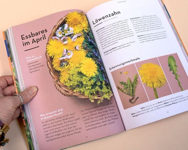 Heger und Sammler Buch: Wild durchs Jahr von Heger und Sammler