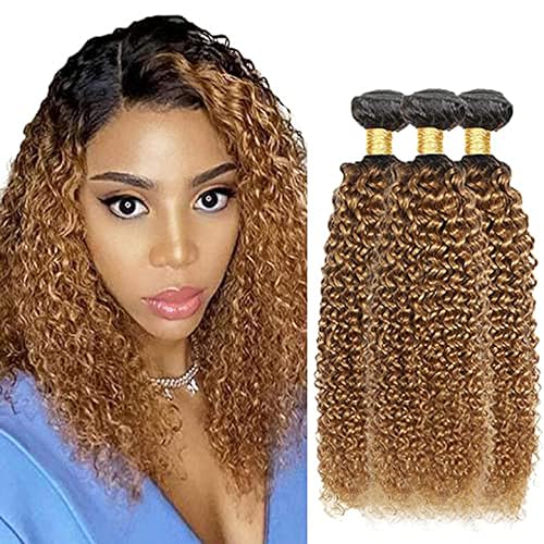 1B 27 Ombre Brazilian Bundles Curly Wave 8A Grade 100% Unprocessed Curly Wave Menschenhaar 3 Bundle 26 28 30 Inch Brazilian Hair Weave Menschenhaar Extensions For Women 1B 27 Ombre Brazilian Bundles Curly Wave 8A Grade 100% Unprocessed Curly Wave Menschenhaar 3 Bundle 26 28 30 Inch Brazilian Hair Weave Menschenhaar Extensions For Women von HeioWuio