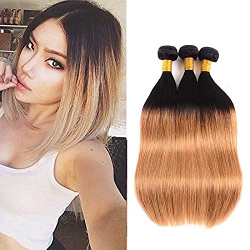 1B 27 Ombre Brazilian Bundles Straight 8A Grade 100% Unprocessed Straight Menschenhaar 3 Bundle 26 28 30 Inch Brazilian Hair Weave Menschenhaar Extensions For Women 1B 27 Ombre Brazilian Bundles Straight 8A Grade 100% Unprocessed Straight Menschenhaar 3 Bundle 26 28 30 Inch Brazilian Hair Weave Menschenhaar Extensions For Women von HeioWuio