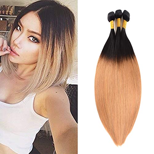 1b 27 Straight Bundles Real Brazilian Remy Menschenhaar Bundles Weave Hair Honey Blonde Color 100% Unprocessed Virgin Hair Extensions For Women 18 20 22 Inch 1b 27 Straight Bundles Real Brazilian Remy Menschenhaar Bundles Weave Hair Honey Blonde Color 100% Unprocessed Virgin Hair Extensions For Women 18 20 22 Inch von HeioWuio