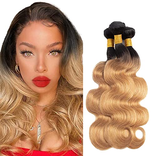20 22 24 Inch Bundles Body Wave 1b27 Hair Menschenhaar 3 Bundles For Women Hair Weave Double Weft No Tangle Hair Bundles Hair Weave 3 Bundle Body Wave Hair von HeioWuio