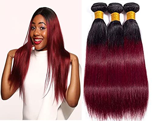 20 22 24 Inch Bundles Straight 1b99j Hair Menschenhaar 3 Bundles For Women Hair Weave Double Weft No Tangle Hair Bundles Hair Weave 3 Bundle Straight Hair von HeioWuio