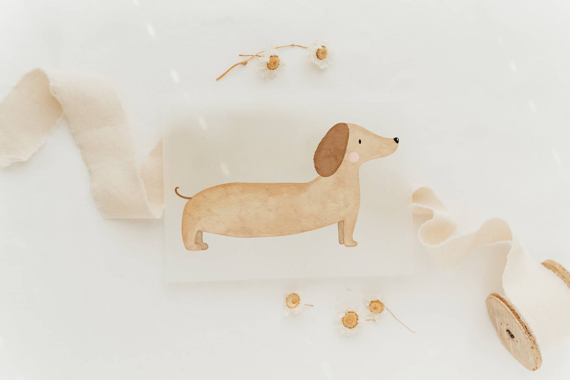Bügelbild Dackel - Motiv Zum Aufbügeln Auf Kinderkleidung Hej Hanni Art. Nr. Hhs-45088244990219 von HejHanni