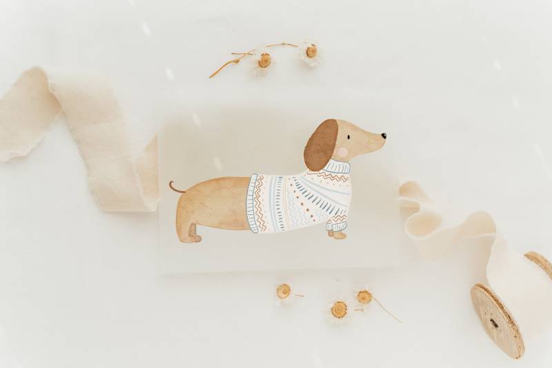 Bügelbild Dackel Strickpulli - Motiv Zum Aufbügeln Auf Kinderkleidung Hej Hanni Art. Nr. Hhs-45088246694155 von HejHanni