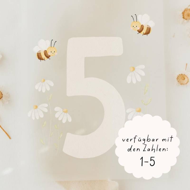 Bügelbild Zahl Blumen Geburtstag - Motiv Zum Aufbügeln Auf Kinderkleidung Hej Hanni Art. Nr. Hhs-51633757061387 Bügelbild Zahl Blumen Geburtstag - Motiv Zum Aufbügeln Auf Kinderkleidung Hej Hanni Art. Nr. Hhs-51633757061387 von HejHanni