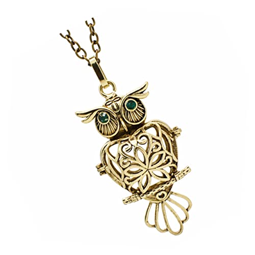 Hemobllo Aromatherapie Halskette Damen Vintage Eule Anhänger Diffusor Schmuck Langlebiger Legierung mit Offenem Duftball Geeignet für Parfüm und von Hemobllo