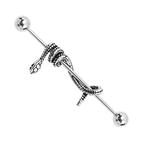 Hemobllo Gothic Snake Ohrring Barbell Knorpelschmuck Punk Ear Bone Ohrstecker Titanstahl Stab Schlange Design für Damen Alltag Party von Hemobllo
