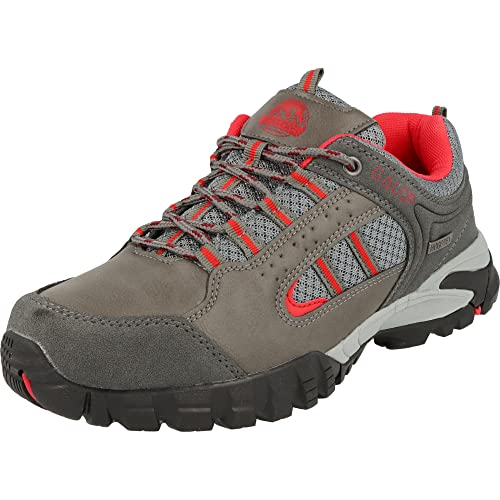 Hengst Footwear Galop Damen Schuhe Trekking Tex Sneaker Halbschuhe Schnürer L34500 in 2 Farben (Grau, Numeric_37) von Hengst Footwear