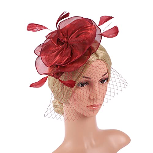 Fascinators 1920 Fascinator Hut Damen,Mesh Federn Clip Kopfschmuck Kopfbedeckungs Hut Flapper Feder Gatsby Haarreif Accessoires Haarnadel Haarschmuck Cocktailparty Hochzeit für Frauen und Mädchen von Herbests