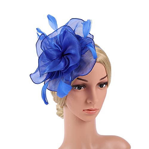 Fascinators 1920 Fascinator Hut Damen,Mesh Federn Clip Kopfschmuck Kopfbedeckungs Hut Flapper Feder Gatsby Haarreif Accessoires Haarnadel Haarschmuck Cocktailparty Hochzeit für Frauen und Mädchen von Herbests