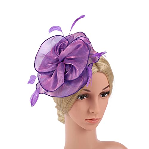 Fascinators 1920 Fascinator Hut Damen,Mesh Federn Clip Kopfschmuck Kopfbedeckungs Hut Flapper Feder Gatsby Haarreif Accessoires Haarnadel Haarschmuck Cocktailparty Hochzeit für Frauen und Mädchen von Herbests