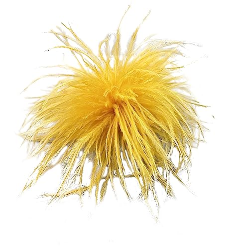 Vintage Feder Brosche,Natürliche Flauschige Straußenfeder Brosche für Frauen Mädchen Feder Ansteckbrosche Elegante Straußenfeder Trachten-Brosche Für Hochzeits Party Geburtstag Schmuck Zubehör von Herbests