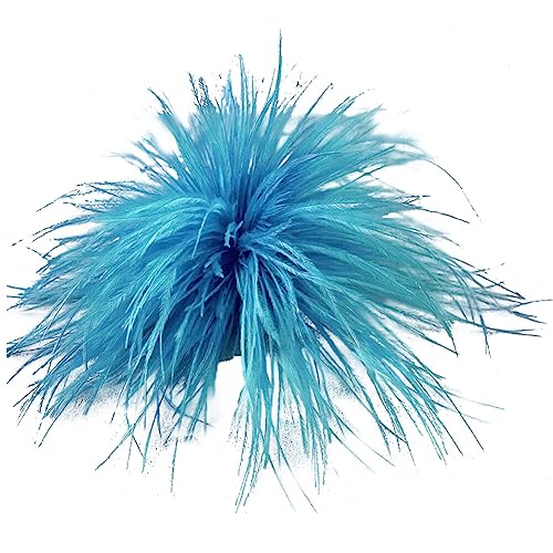 Vintage Feder Brosche,Natürliche Flauschige Straußenfeder Brosche für Frauen Mädchen Feder Ansteckbrosche Elegante Straußenfeder Trachten-Brosche Für Hochzeits Party Geburtstag Schmuck Zubehör von Herbests