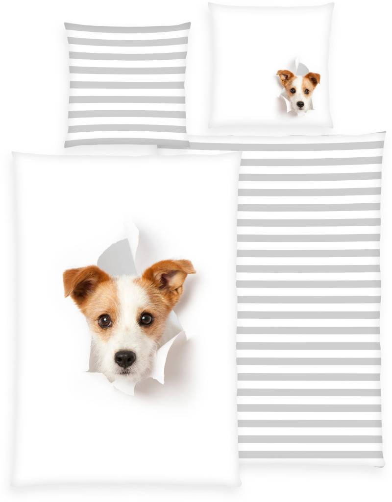 Herding Young Collection Bettwäsche "YC Hund" 2 Stk. tlg. mit tollem Motiv von Herding Young Collection