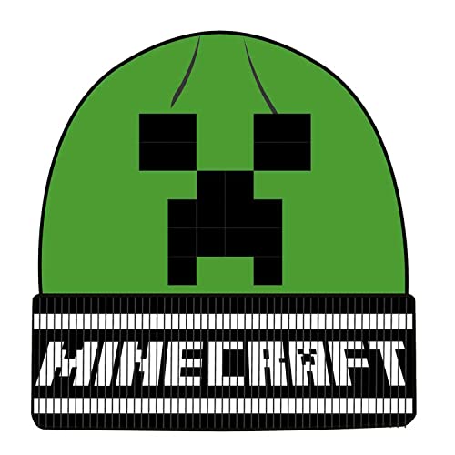 Heroes Inc Minecraft Creeper Face Beanie Hat Heroes Inc Minecraft Creeper Face Beanie Hat von Heroes Inc.