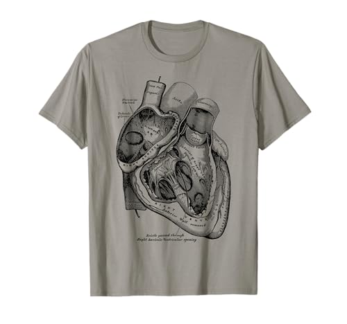 Herz Diagramm Vintage - Damen T-Shirt: Anatomisches menschliches Herz - Medizinische Anatomie - Weinlese - Grau, S Herz Diagramm Vintage - Damen T-Shirt: Anatomisches menschliches Herz - Medizinische Anatomie - Weinlese - Grau, S von Herz Diagramm Vintage