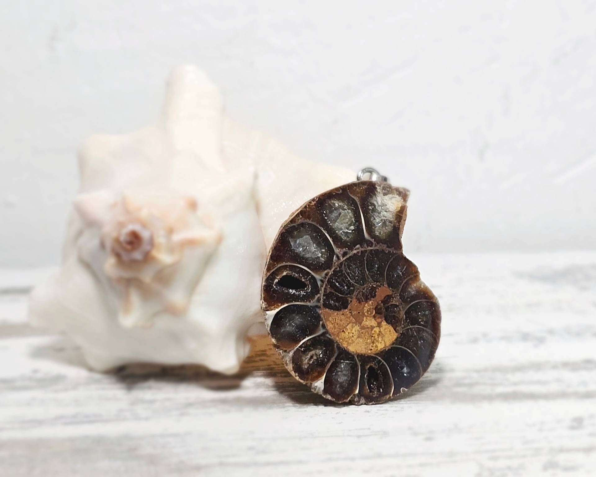 Ammonit Anhänger - Fossilien Edelstein Schmuck | Heilstein Geologie Mineral Versteinerung Herzgöttin Ammonit Anhänger - Fossilien Edelstein Schmuck | Heilstein Geologie Mineral Versteinerung Herzgöttin von Herzgoettin