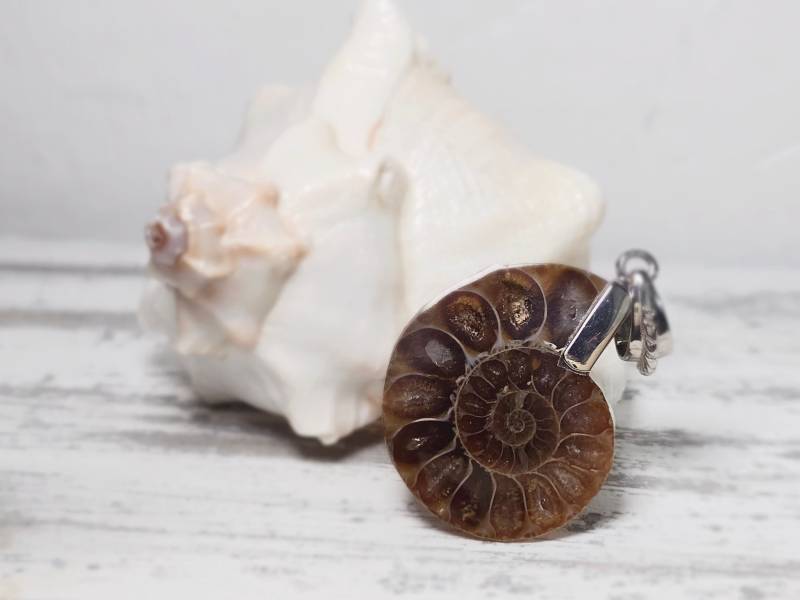 Ammonit Anhänger - Silber 925 Gefasst | Fossilien Edelstein Schmuck Heilstein Geologie Mineral Versteinerung Herzgöttin Ammonit Anhänger - Silber 925 Gefasst | Fossilien Edelstein Schmuck Heilstein Geologie Mineral Versteinerung Herzgöttin von Herzgoettin